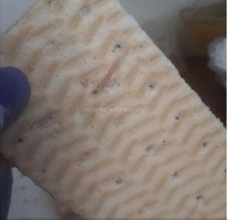 Читатель обнаружил червей в печенье, которое купил в одном из супермаркетов Бишкека <i>(фото) </i>