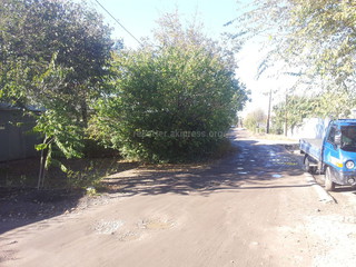 Разросшиеся ветки деревьев в переулке Лагерный возле домов №32 и 34 в Рабочем городке будут обрезаны 25 октября, - «Зеленстрой» Бишкека