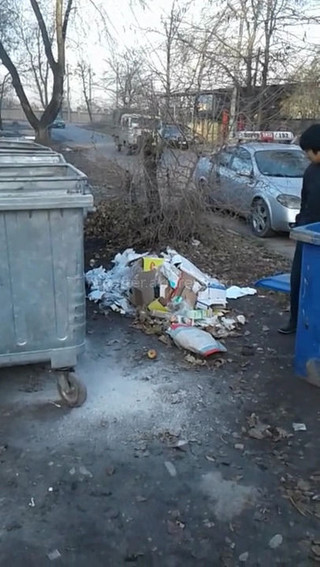 Читатель призывает горожан выкидывают мусор в мусорные баки (фото)
