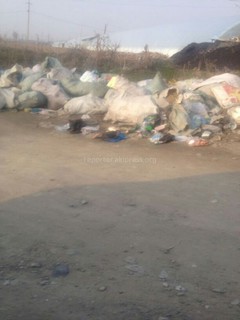 Вдоль центральной дороги в селе Савай уже в течение 3-х месяцев не убирается мусор, - читатель (фото)