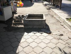 Бишкекчанин просит убрать бетонные блоки на Московской-Логвиненко (фото)