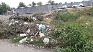 Читатель просит убрать мусор на Сыдыгалиева-Лумумбы (фото)