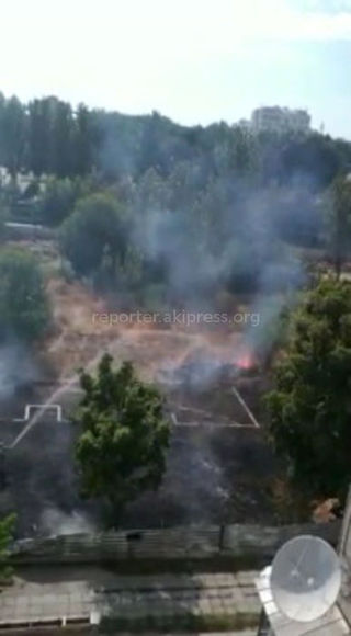Утром на ул.Ибраимова в Бишкеке горело сухотравие (фото)