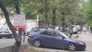 Управление мэрии Бишкека убрало баннер, прибитый к дереву