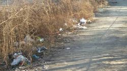 В Бишкеке на улице Чокморова разбросан мусор, - читатель (фото)