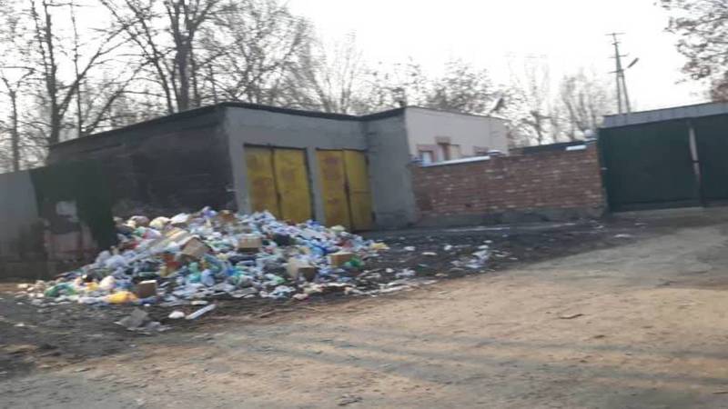 В селе Новопокровка на ул.Ленина №262Б образовалась мусорная свалка, - житель (фото)