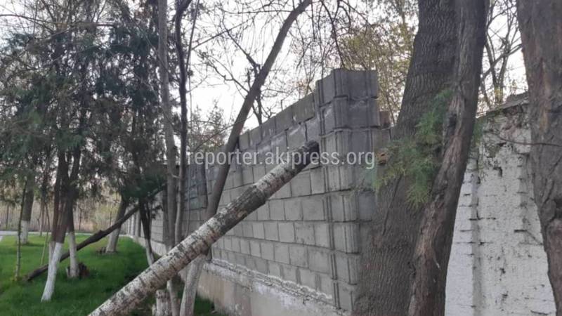 В Оше на ул.Супаналиева кирпичный забор может упасть на прохожих, - горожанин (фото)