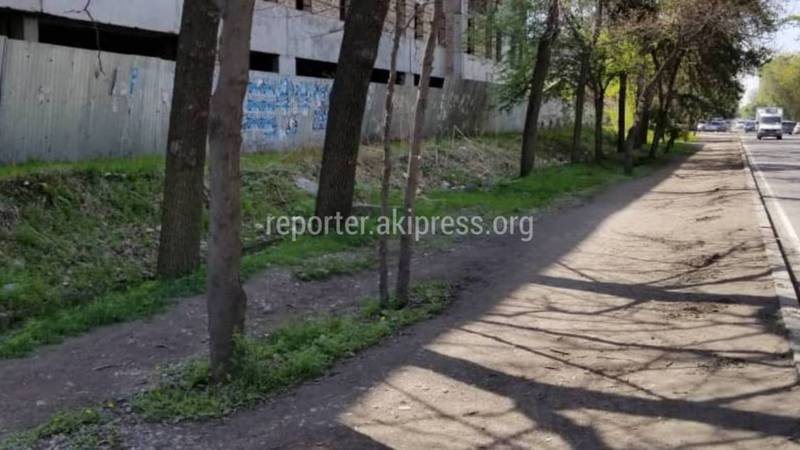 На ул.Фрунзе возле Нацстаткома КР исчез пешеходный тротуар, - бишкекчанин (фото)