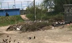 В 8 микрорайоне возле школы №64 не вывозят мусор после субботника, - житель (видео)