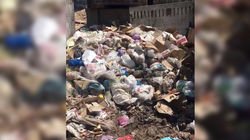 В селе Бостери на рынке «Ярмарка» неделю не вывозят мусор (видео)
