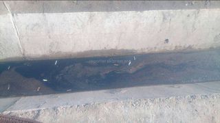 Выявить нарушителя, вылившего масло от авто в арыки на ул.П.Лумумбы, не удалось, - мэрия Бишкека