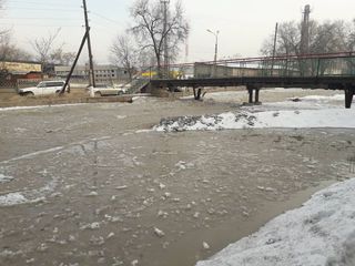 МЧС: Из-за увеличения объема воды на реке Ала-Арча затоплены 3 дома в Бишкеке <b><i>(фото, видео)</i></b>