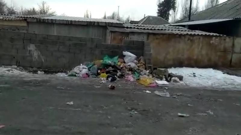 В селе Беловодское из-за отсутствия мусорных контейнеров жители выбрасывают мусор на улицу. Видео