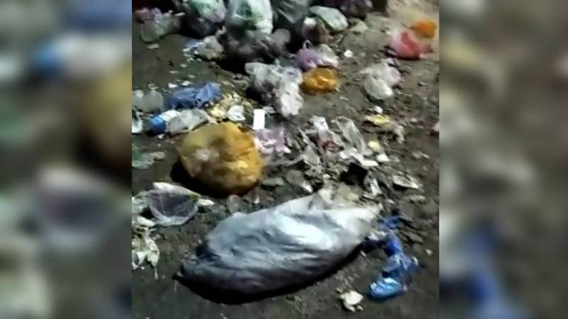 В Новопавловке возле школы №1 не вывозят мусор. Видео
