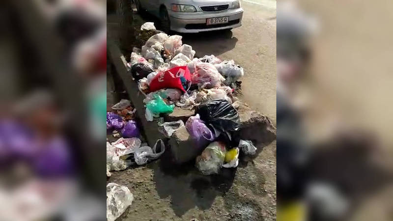 На Льва Толстого-Асаналиева на обочине дороги лежит куча мусора. Видео