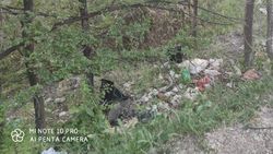 Очевидец жалуется на мусор и стихийную свалку возле курорта Жыргалан. Фото