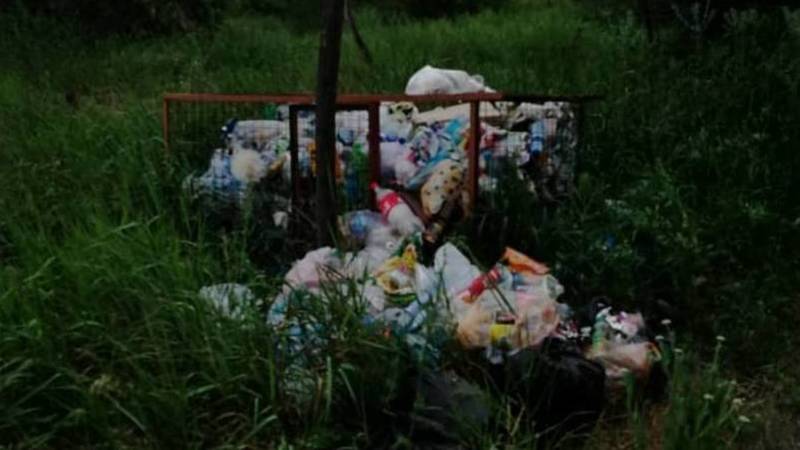 Бишкекчанка жалуется на мусор в Ботсаду имени Гареева. Видео и фото