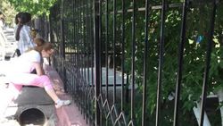 Ученики ШГ №17 красят заборы во время карантина, - очевидец. Фото