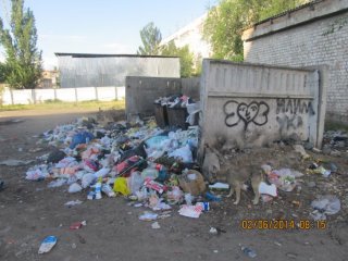 В городе Токмок не вывозится мусор <b>(фото)</b>