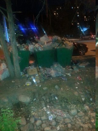 Читатель предлагает увеличить количество мусорных баков на ул. Карла Маркса <b>(фото)</b>