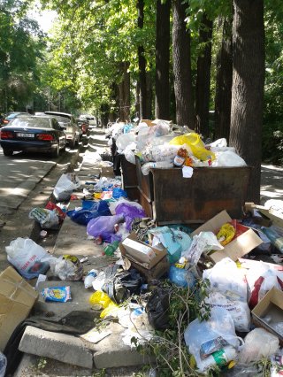 Читательница просит убрать мусор на Турусбекова — Московская <b>(фото)</b>