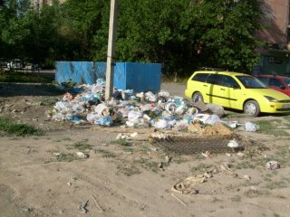 Жители ул. Ибраимова и Боконбаева жалуются, что у них две недели не вывозят мусор <b>(фото)</b>