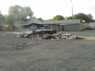 На ул. Широкая не вывозится мусор <b>(фото)</b>