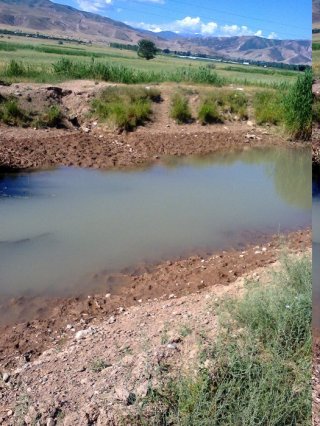 В Иссык-Атинском районе не подают поливную воду, хотя вода в БЧК имеется <b>(фото)</b>