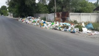 На ул. Тульская уже неделю не убирают мусор <b>(фото)</b>