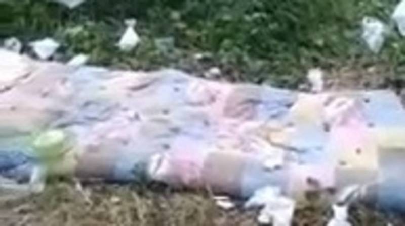 Горожанин жалуется на мусор в парке «Сейил». Видео