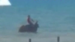 В селе Бактуу-Долоноту местный житель верхом на лошади вошел в озеро. Видео