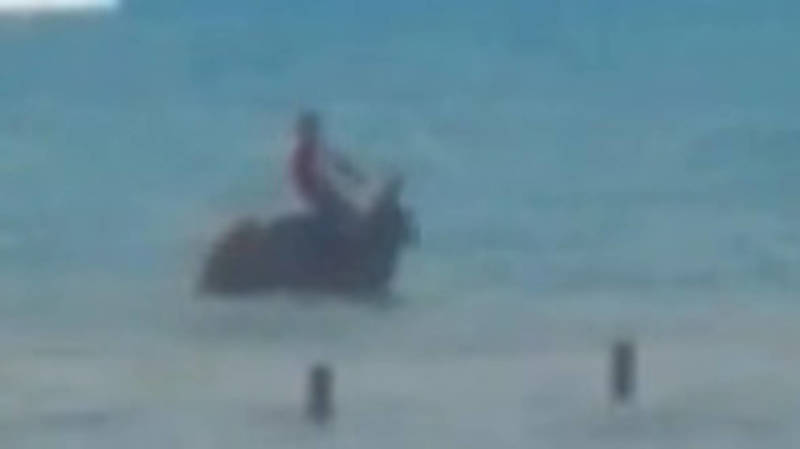 В селе Бактуу-Долоноту местный житель верхом на лошади вошел в озеро. Видео