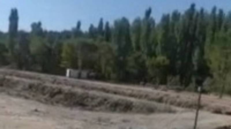 В заказнике возле Токмока вырубаются деревья, - местный житель. Видео