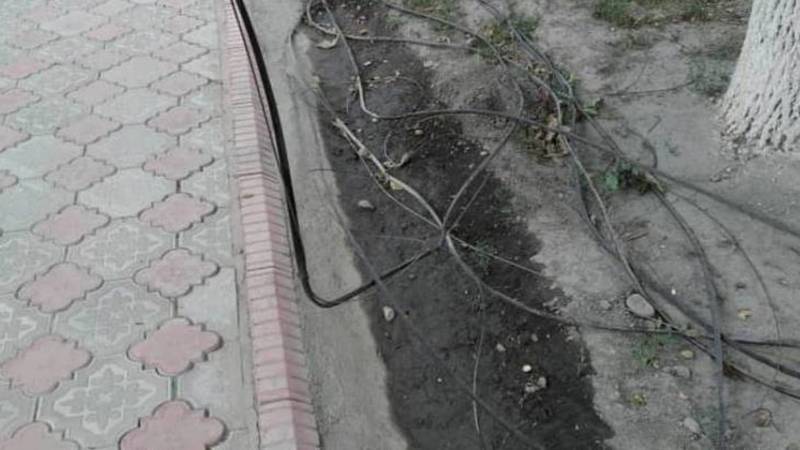 В Новопавловке на земле лежит силовой кабель, - местный житель