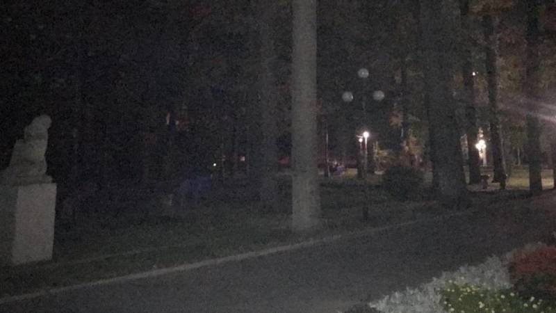 Горожанин жалуется на отсутствие освещения в Дубовом парке