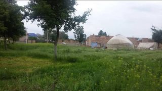 Сокулукский акимиат о законности строительства здания в парковой зоне села Селекционное: Имеются документы
