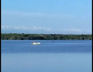 Житель: На озере Иссык-Куль открыто ловили рыбу сетями (видео)
