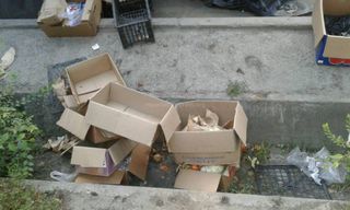 В мкр Аламедин-1 мусор оставляют в арыках, - житель (фото)