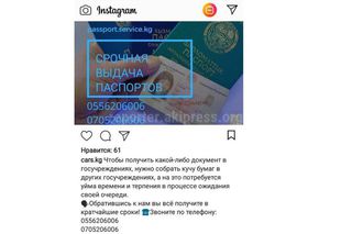 Законны ли услуги посредничества при получении паспорта, рекламируемые в интернете