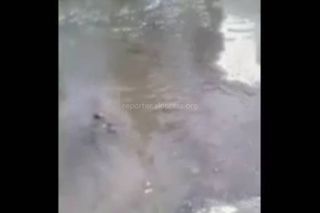 В микрорайоне Асанбай арычные воды затопили дорогу