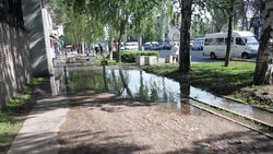 На Манаса вода из арыка затопила тротуар. Фото