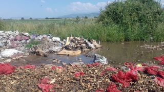 В селе Александровка образовался мусорный полигон