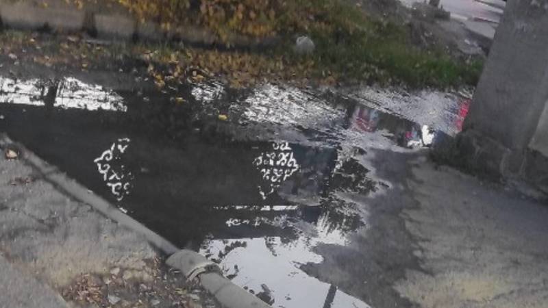 На Фучика вода топит тротуар. Фото