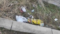Горожанин жалуется на мусор на Ахунбаева-Чортекова. Фото