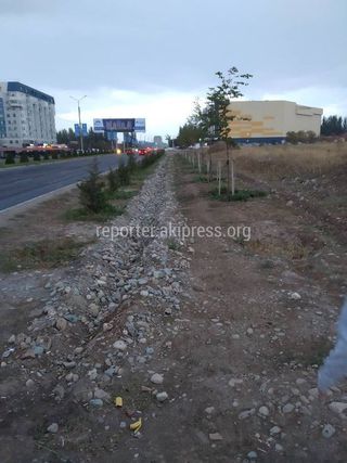 Когда сделают тротуары на Южной магистрали от Тыналиева до Айтматова?