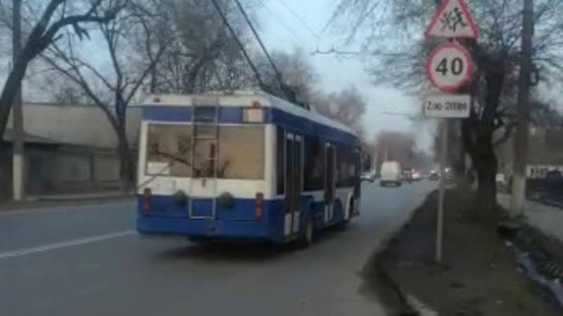 Троллейбус №8 не остановился на остановке. Видео горожанина