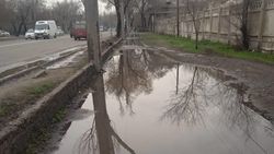 В Пишпеке тротуар на Льва Толстого остался под водой. Видео и фото