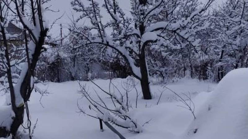 В Каракол вернулась зима. Видео и фото горожан