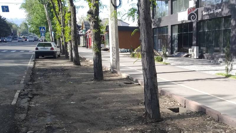 Жители Касимовского шоссе попросили заасфальтировать двор