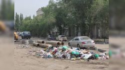 Бишкекчанка просит горожан, проходящим по Элебаева между Кулатова и Льва Толстого, не бросать мусор в кучу в центре улицы